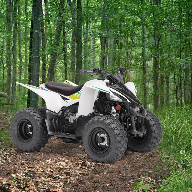 New 2023 YAMAHA YFZ50 ATV - Image 2